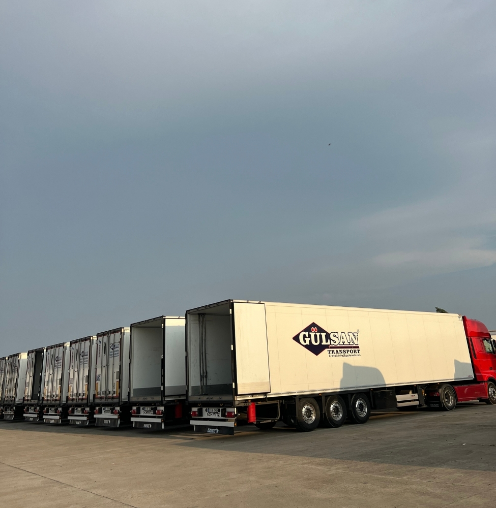 Global shipping transport